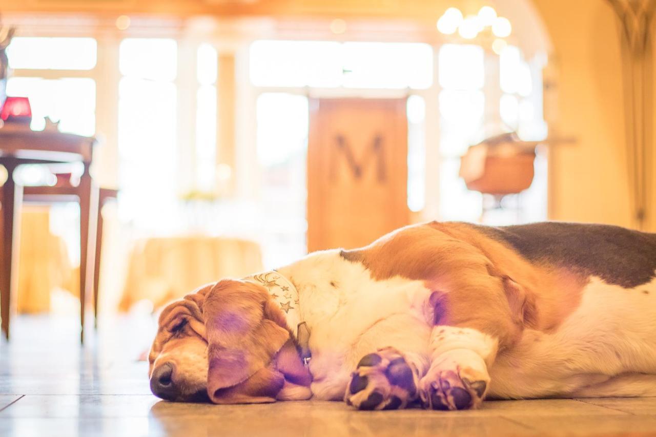 Hotel Magdalena Im Zillertal - Urlaub Mit Hund Ried im Zillertal Exteriér fotografie
